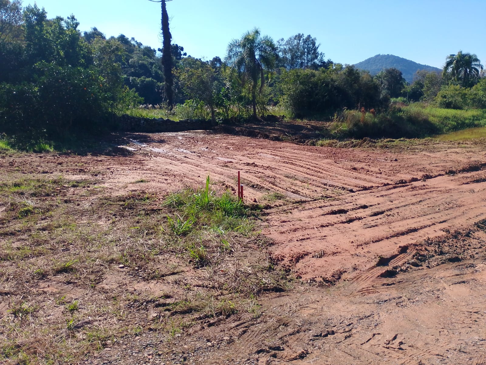 Terreno — Mambuí — Mambuí, Bom Princípio